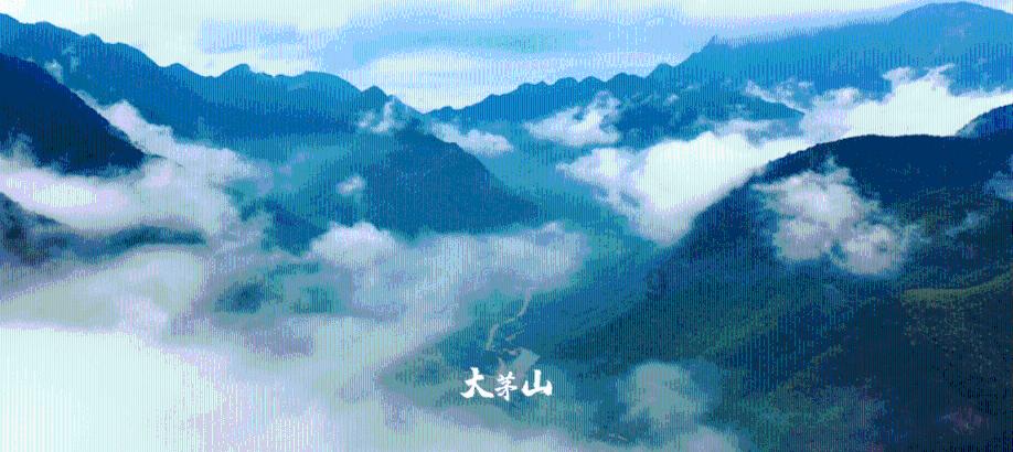 专注问答,尽在读博遇到好导师是什么体验?蜗牛