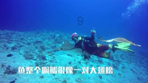 逃离地下古寺庙