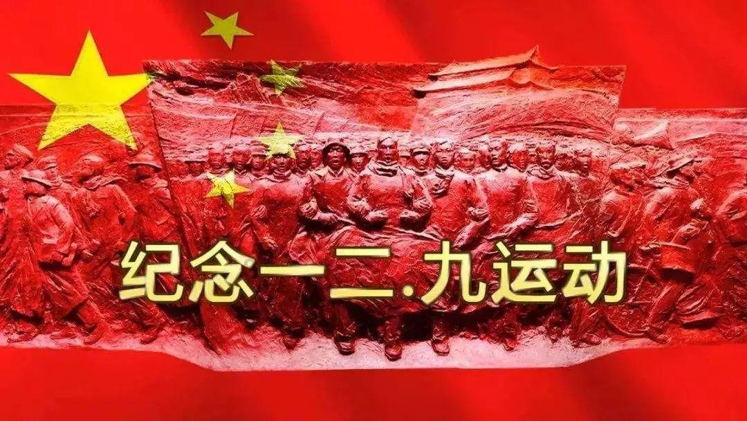 星动，只为你