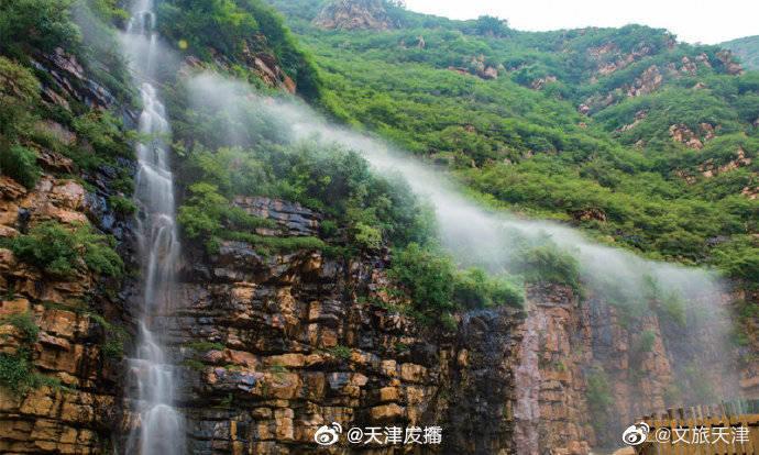 春雨直播app